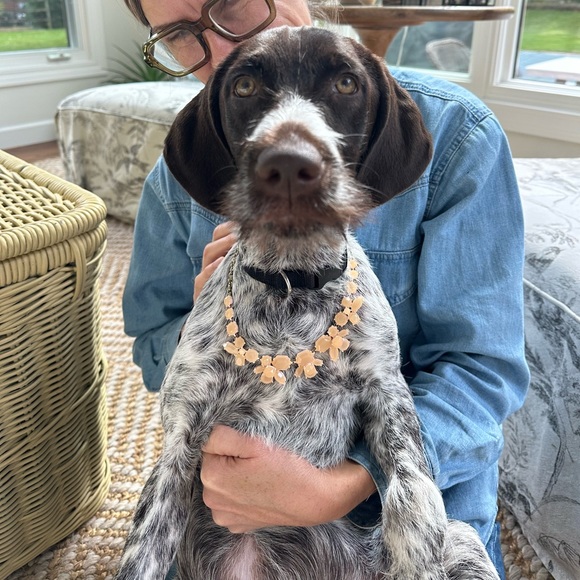 NWT JCrew Statement Necklace - Picture 2 of 4